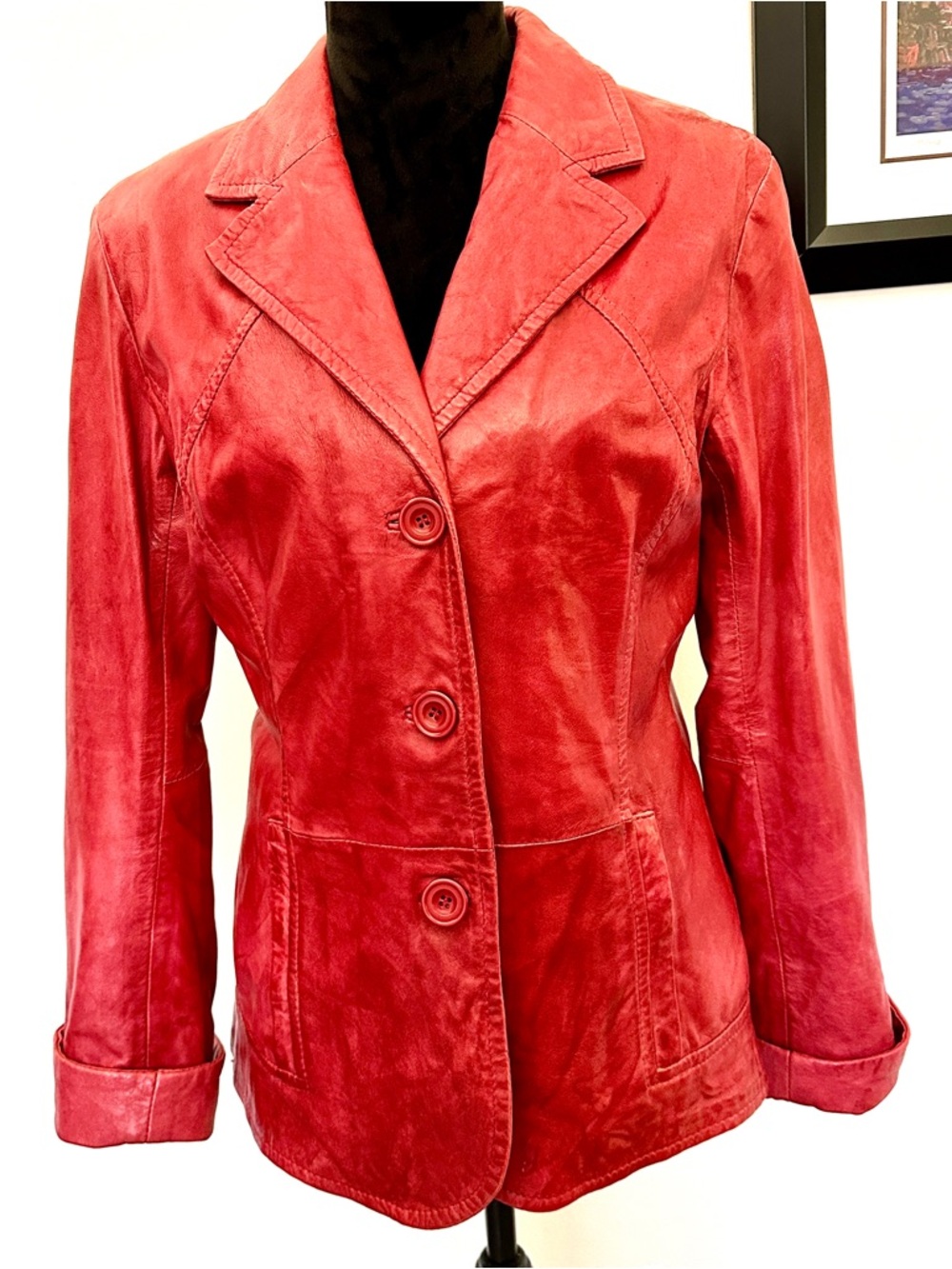 Danier Leather Jacket